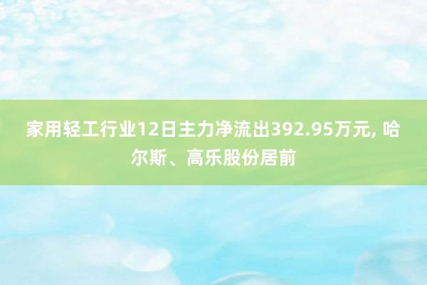 家用轻工行业12日主力净流出392.95万元, 哈尔斯、高乐股份居前