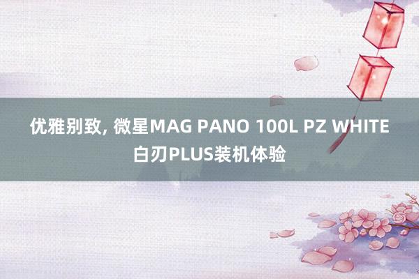 优雅别致, 微星MAG PANO 100L PZ WHITE白刃PLUS装机体验