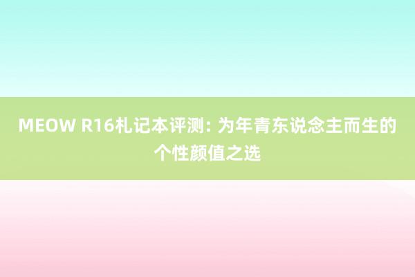 MEOW R16札记本评测: 为年青东说念主而生的个性颜值之选