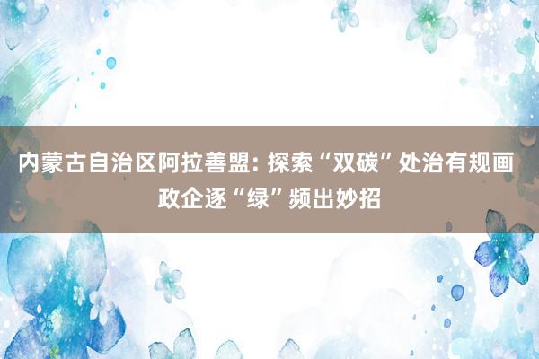 内蒙古自治区阿拉善盟: 探索“双碳”处治有规画 政企逐“绿”频出妙招