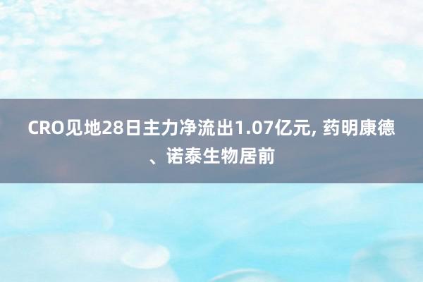 CRO见地28日主力净流出1.07亿元, 药明康德、诺泰生物居前