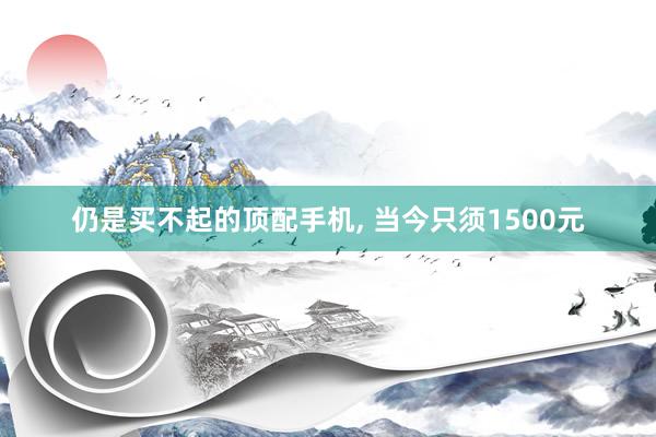 仍是买不起的顶配手机, 当今只须1500元