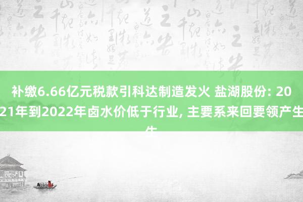 补缴6.66亿元税款引科达制造发火 盐湖股份: 2021年到2022年卤水价低于行业, 主要系来回要领产生