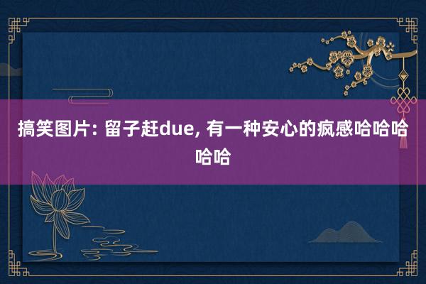 搞笑图片: 留子赶due, 有一种安心的疯感哈哈哈哈哈