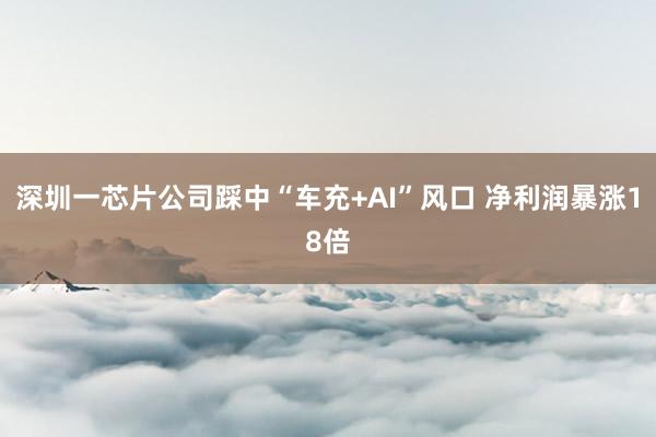 深圳一芯片公司踩中“车充+AI”风口 净利润暴涨18倍