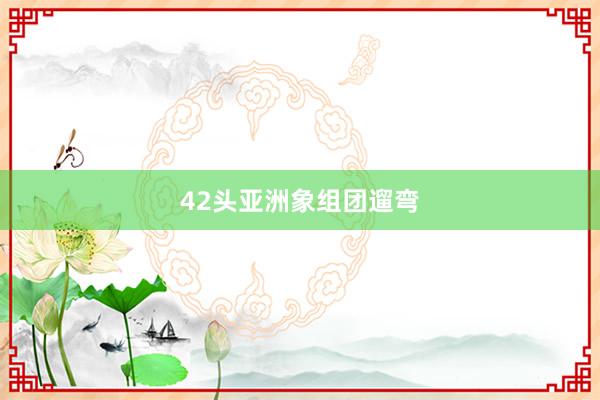 42头亚洲象组团遛弯