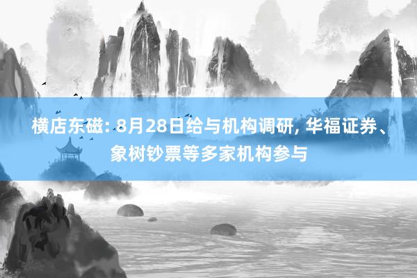 横店东磁: 8月28日给与机构调研, 华福证券、象树钞票等多家机构参与