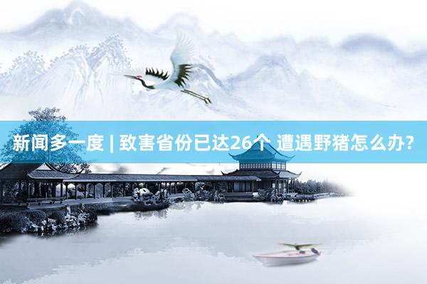 新闻多一度 | 致害省份已达26个 遭遇野猪怎么办?